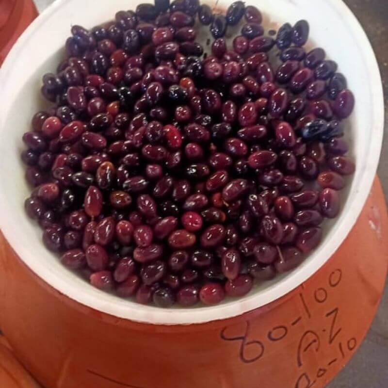 زيتون أسود طبيعي