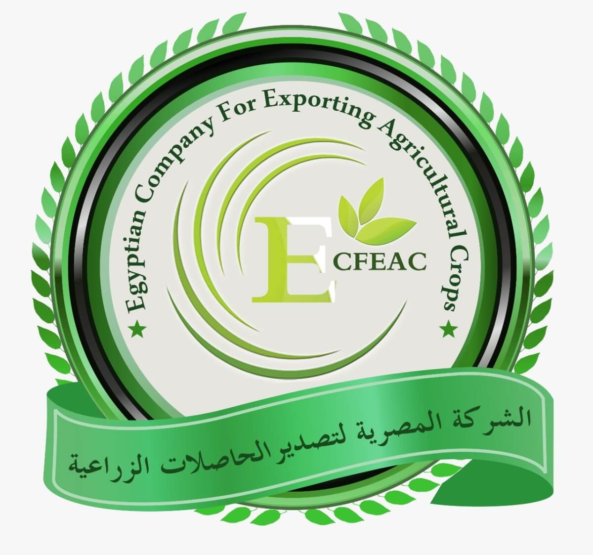 رسالة ترحيبية